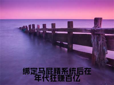 绑定马屁精系统后在年代狂赚百亿（许子杉小说）全文免费阅读无弹窗大结局_绑定马屁精系统后在年代狂赚百亿全文免费阅读_笔趣阁