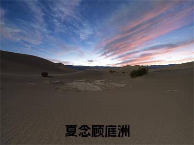 顾庭洲夏念小说在线阅读（夏念顾庭洲）全文免费阅读无弹窗大结局_顾庭洲夏念小说免费最新章节列表_笔趣阁（夏念顾庭洲）