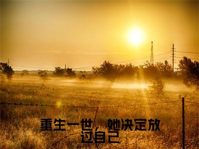 季璟尧程向意（重生一世，她决定放过自己小说全文）在线阅读-季璟尧程向意全文免费阅读无弹窗大结局