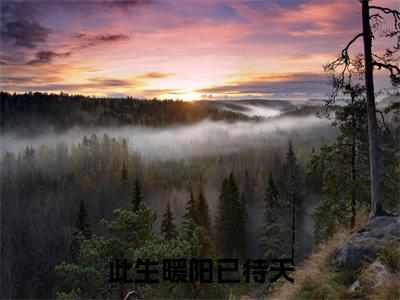 此生暖阳已待天小说大结局免费阅读，钱暖暖漆晨澜抖音新上热文分享