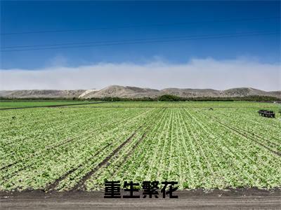 沈浪（重生繁花）全文免费阅读无弹窗大结局_（重生繁花）沈浪最新章节列表