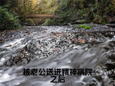 被老公送进精神病院之后(罗嘉琳赵关山)全文免费阅读大结局_被老公送进精神病院之后（罗嘉琳赵关山在线小说免费阅读）全文阅读大结局