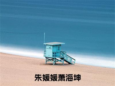 朱媛媛萧海坤免费阅读无弹窗最新章节列表-（萧海坤朱媛媛）全文免费阅读大结局笔趣阁（萧海坤朱媛媛）
