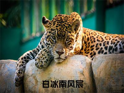 白冰南风宸（风宸白冰南）小说免费在线阅读_白冰南风宸全本免费小说阅读（风宸白冰南）