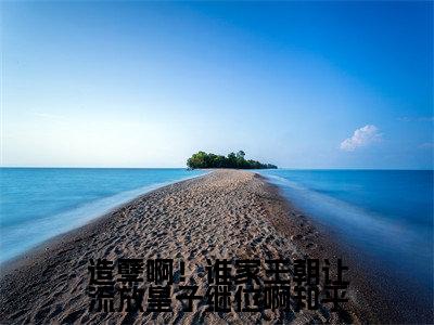 造孽啊！谁家王朝让流放皇子继位啊（ 唐梓昱珑夏小说）全文免费阅读无弹窗大结局_造孽啊！谁家王朝让流放皇子继位啊最新章节列表_笔趣阁（ 唐梓昱珑夏小说）