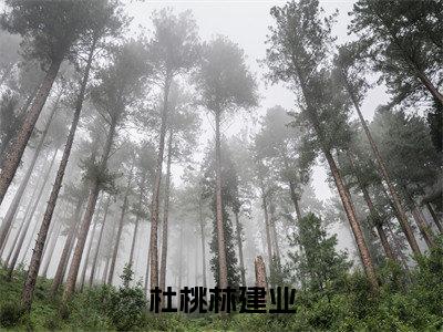 杜桃林建业(林建业杜桃)全文免费阅读无弹窗大结局_杜桃林建业免费阅读无弹窗最新章节列表_笔趣阁(林建业杜桃)