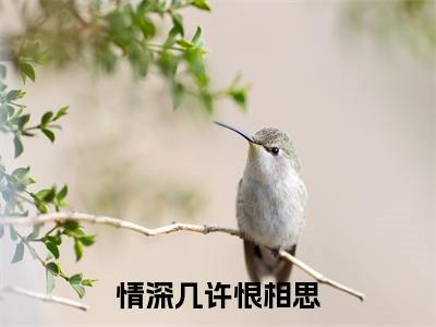 虞诗吟傅瑾行（情深几许恨相思）全文免费阅读无弹窗大结局_（情深几许恨相思无弹窗）最新章节免费阅读_笔趣阁（虞诗吟傅瑾行）