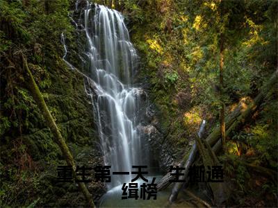 重生第一天，生撕通缉榜小说（江峰）全文免费阅读_（重生第一天，生撕通缉榜小说）江峰小说精彩在线赏析