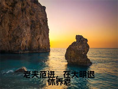 老夫范进，在大明退休养老（范进）免费阅读无弹窗-小说老夫范进，在大明退休养老大结局全文免费阅读