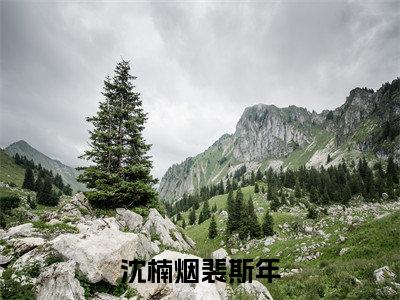 沈楠烟裴斯年小说（沈楠烟裴斯年）热推新书_沈楠烟裴斯年最新章节在线阅读_笔趣阁