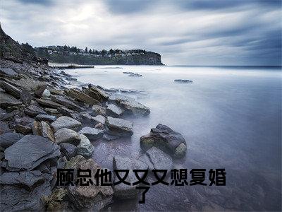 顾总他又又又想复婚了小说（ 苏浅浅温言）全文免费阅读无弹窗大结局_( 苏浅浅温言)顾总他又又又想复婚了小说无弹窗精彩阅读_笔趣阁