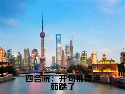 四合院：开句被秦淮茹踹了小说全文免费阅读无弹窗大结局_秦康最新章节列表_笔趣阁
