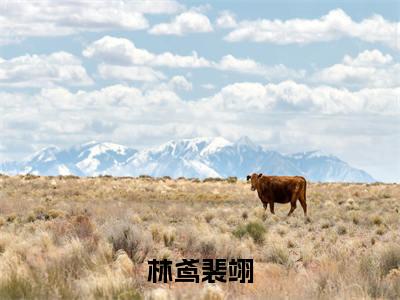 （热推新书）《林鸢裴翊》全文免费阅读无弹窗大结局-裴翊林鸢无弹窗阅读