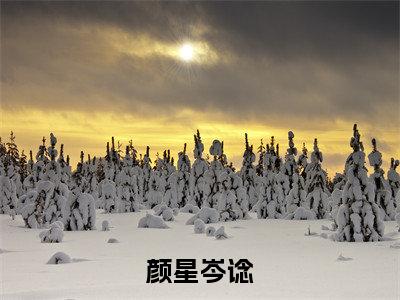 颜星岑谂（岑谂颜星）小说全文免费阅读无弹窗-颜星岑谂小说全文免费阅读最新章节列表笔趣阁（岑谂颜星）