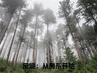 反派：从房东开始（凌云）无弹窗小说免费阅读_反派：从房东开始最新章节免费阅读_笔趣阁