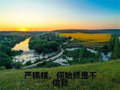 严锦楼，你始终是不信我小说全文免费阅读-（严锦楼商媛）严锦楼，你始终是不信我精选小说大结局阅读