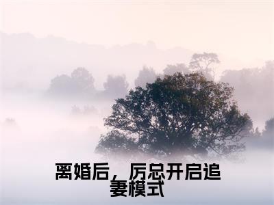 离婚后，厉总开启追妻模式抖音厉斯珩秦笙小说阅读完结版-小说厉斯珩秦笙全文免费阅读