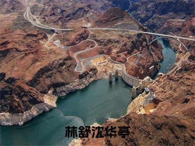 小说名字是：林舒沈华亭小说免费阅读无弹窗,小说名字是：沈华亭林舒的小说在线阅读无删减