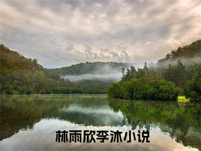  林雨欣李沐(天降姐姐：那个女富豪是我后妈？全文免费阅读)_ 林雨欣李沐小说最新章节免费阅读