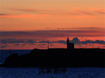 沈絮谢停（谢停沈絮）全文免费阅读无弹窗大结局_谢停沈絮最新章节列表_笔趣阁（沈絮谢停）