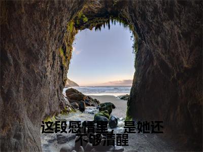 这段感情里，是她还不够清醒知乎最新章节-（宁云舒沈承则）这段感情里，是她还不够清醒全文在线阅读无弹窗