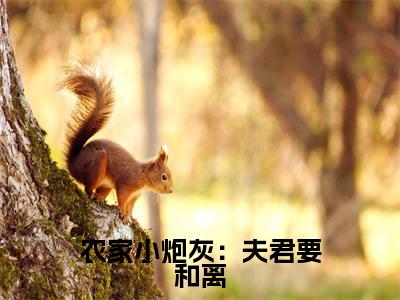 农家小炮灰：夫君要和离小说（许静江逸）全文免费阅读无弹窗大结局_ (农家小炮灰：夫君要和离免费阅读)最新章节列表_笔趣阁（许静江逸）