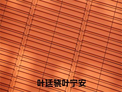 （叶宁安叶廷骁）叶廷骁叶宁安小说免费阅读-小说推荐叶廷骁叶宁安精彩章节在线阅读