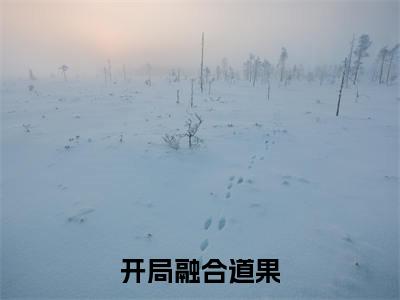  元阳叶安小说免费下载阅读_(开局融合道果，哥长生不老了) 元阳叶安最新章节列表_笔趣阁（开局融合道果，哥长生不老了）