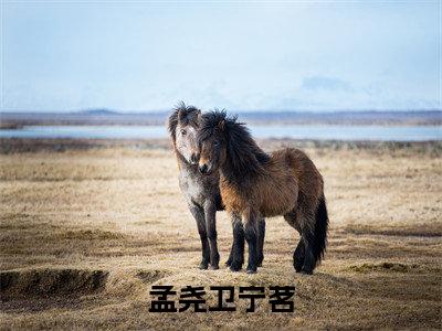孟尧卫宁茗（卫宁茗孟尧）全文免费阅读无弹窗大结局_卫宁茗孟尧免费最新章节列表_笔趣阁