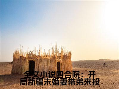  张楠马保国小说-《四合院：开局新疆未婚妻带弟来投》完整章节阅读无弹窗免费阅读大结局