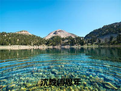 沈晚傅思年（沈晚傅思年）全文免费沈晚傅思年读无弹窗大结局_(沈晚傅思年：沈晚傅思年）免费沈晚傅思年读全文最新章节列表_笔趣阁（沈晚傅思年）