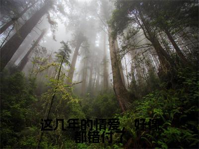 这几年的情爱，好像都错付了（袁晓晓裴域）全文免费阅读无弹窗大结局_这几年的情爱，好像都错付了全文免费阅读_笔趣阁