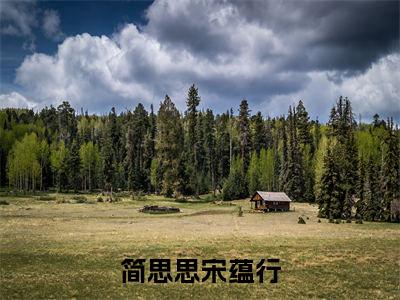 简思思宋蕴行是什么小说_主角是（宋蕴行简思思）的小说（简思思宋蕴行）最新章节无弹窗阅读