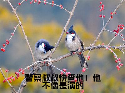 小说李阳警察叔叔快查他！他不像是演的求书热文免费阅读-李阳小说分享全文警察叔叔快查他！他不像是演的