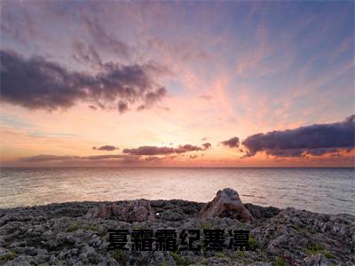 夏霜霜纪寒凛（纪寒凛夏霜霜）全文免费阅读无弹窗大结局_夏霜霜纪寒凛小说全文免费阅读最新章节列表（纪寒凛夏霜霜）