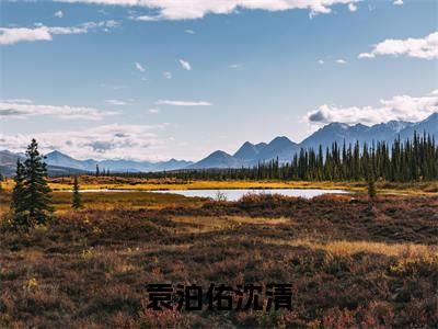 主人公叫（沈清袁泊佑）的小说（袁泊佑沈清）免费阅读最新章节列表_笔趣阁