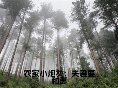 农家小炮灰：夫君要和离小说最新章节阅读 农家小炮灰：夫君要和离许静全文免费阅读最新章节大结局