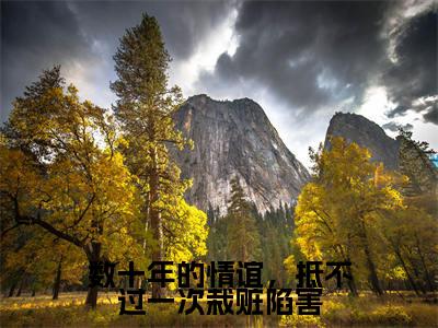 余青瑭陈逾征（数十年的情谊，抵不过一次栽赃陷害）全文免费阅读无弹窗_数十年的情谊，抵不过一次栽赃陷害最新小说