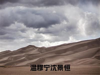 温穆宁沈景恒（沈景恒温穆宁）精选好书-沈景恒温穆宁无删减小说在线阅读（温穆宁沈景恒全文免费阅读）