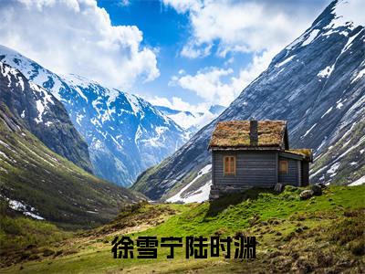 陆时渊徐雪宁徐雪宁陆时渊小说全文免费阅读_徐雪宁陆时渊（陆时渊徐雪宁）最新章节列表笔趣阁