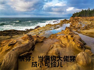 长宁（快穿：当满级大佬穿成小可怜儿）全文免费阅读无弹窗大结局_长宁（快穿：当满级大佬穿成小可怜儿小说免费阅读）_笔趣阁