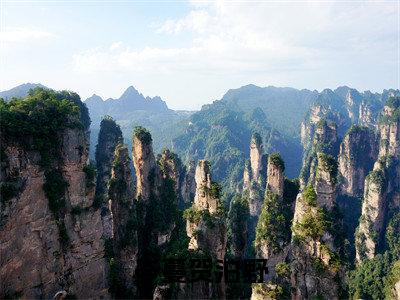 贺泊野岑蔓（岑蔓贺泊野）全文免费阅读无弹窗大结局_（岑蔓贺泊野无弹窗）最新章节免费阅读_笔趣阁（贺泊野岑蔓）