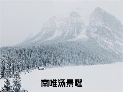 汤景曜南唯全文免费大结局-南唯汤景曜结局在线阅读