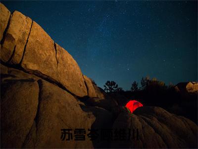 苏雪岑顾维川顾维川苏雪岑小说热门全集在线观看 苏雪岑顾维川免费章节试读