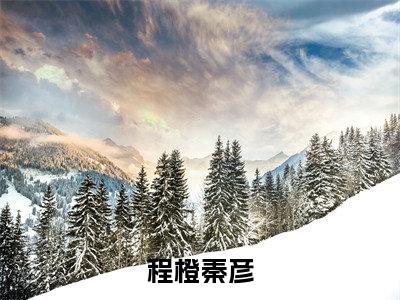 秦彦程橙免费阅读（程橙秦彦）全文免费阅读无弹窗大结局_秦彦程橙免费阅读最新章节列表_笔趣阁（程橙秦彦）