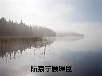 顾瑾臣阮荔宁小说（阮荔宁顾瑾臣）全文免费阅读无弹窗大结局_(阮荔宁顾瑾臣)顾瑾臣阮荔宁小说最新章节列表_笔趣阁（顾瑾臣阮荔宁小说）