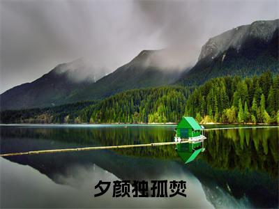 夕颜独孤焚（独孤焚夕颜）全文免费阅读无弹窗大结局_夕颜独孤焚最新章节列表_笔趣阁