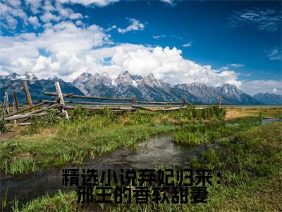 弃妃归来：邪王的香软甜妻 李锦悠李映月无广告阅读 新上热文 李锦悠李映月在线免费读