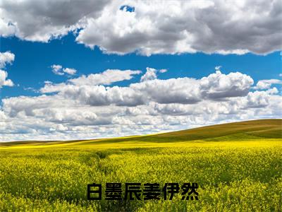 白墨辰姜伊然（姜伊然白墨辰）全文免费阅读无弹窗大结局_白墨辰姜伊然_笔趣阁
