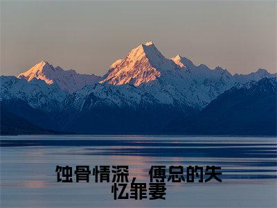 蚀骨情深，傅总的失忆罪妻(苏瑶瑶傅延川)小说全文免费阅读无弹窗大结局_蚀骨情深，傅总的失忆罪妻最新章节列表
